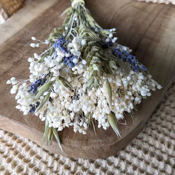 Colette - Kleiner Strauß natürlicher Trockenblumen